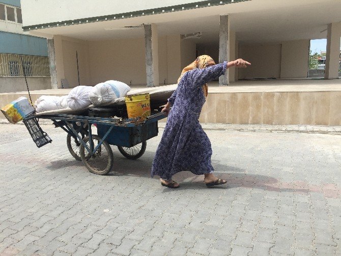 70’lik Kadın Buğdaylarını Çalan Hırsızı Kıskıvrak Yakaladı