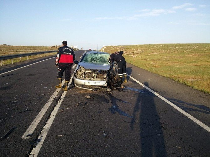 Şanlıurfa’da Trafik Kazası: 7 Yaralı