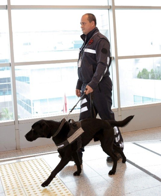 Tav, Güvenlik Personelinin Üniformalarını Değiştirdi