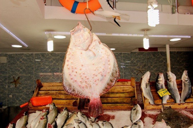 Av Sezonu Kapandı, Balık Fiyatları Arttı