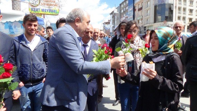 CHP’li Belediye Başkanı 10 Bin Adet Gül Dağıttı