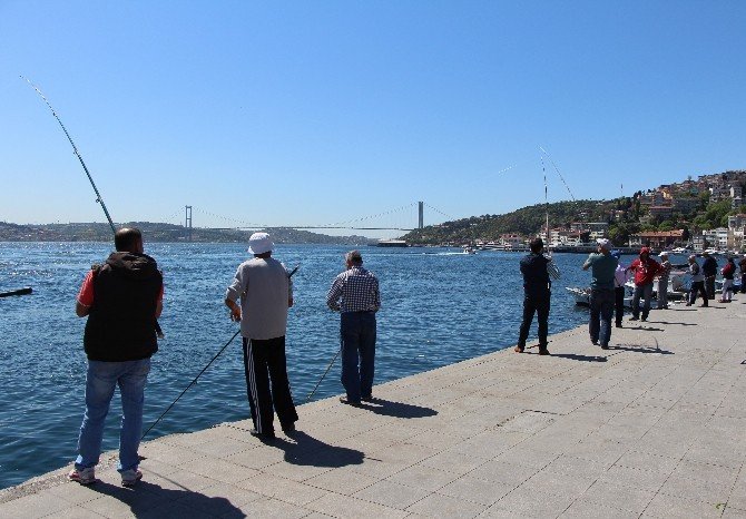 Termometreler 29 Dereceyi Gösterdi, İstanbullular Sahillere Akın Etti