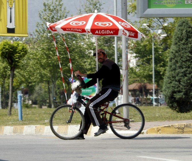 Tekerlekli Şemsiye...