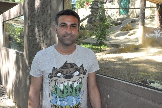 Yavru Mirketler Hayvanat Bahçesinin Yeni Gözdesi