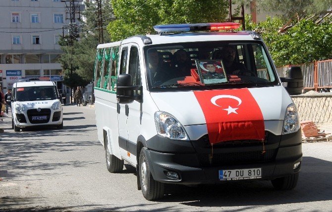 Bingöllü Şehit Polis İçin Mardin’de Tören Düzenlendi