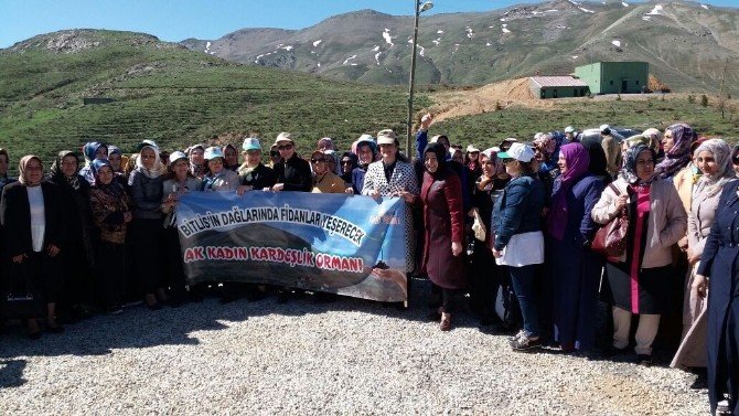 AK Partili Kadınların Bitlis Çıkarması