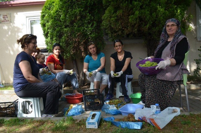 Altınovalı Kadınlar Türkiye’de İlk Kez Kividen Reçel Yaptı