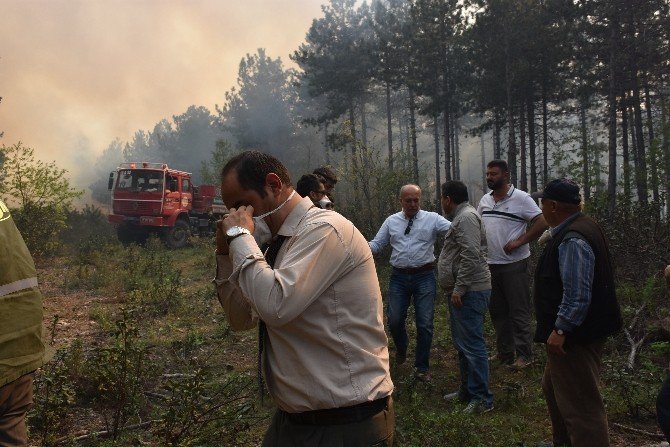 Dursunbey’deki Orman Yangını Sürüyor