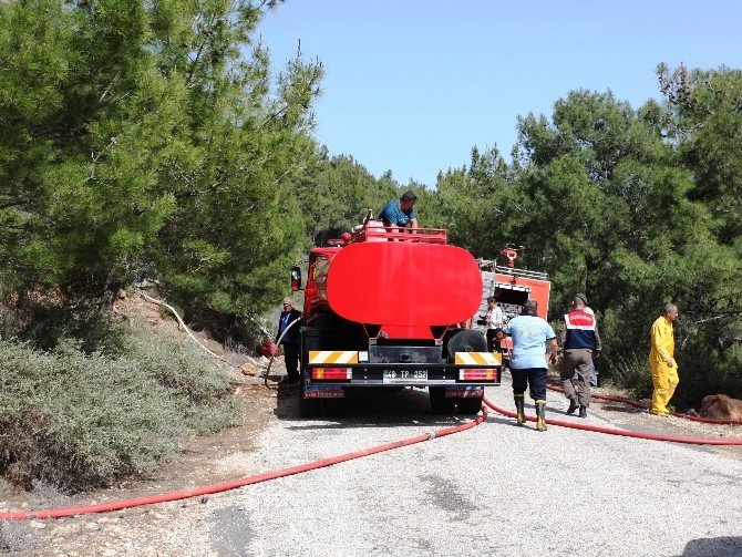 Bodrum’daki Orman Yangın Otellere Ulaşmadan Söndürüldü