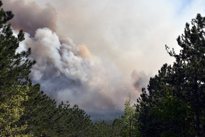Dursunbey’deki Orman Yangını Kontrol Altına Alındı