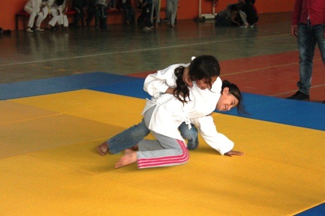 Cizre’de 23 Nisan Etkinlikleri Kapsamında Judo Turnuvası Yapıldı
