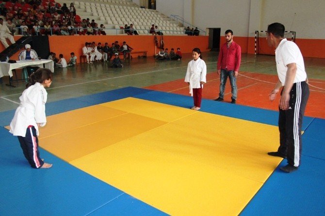 Cizre’de 23 Nisan Etkinlikleri Kapsamında Judo Turnuvası Yapıldı