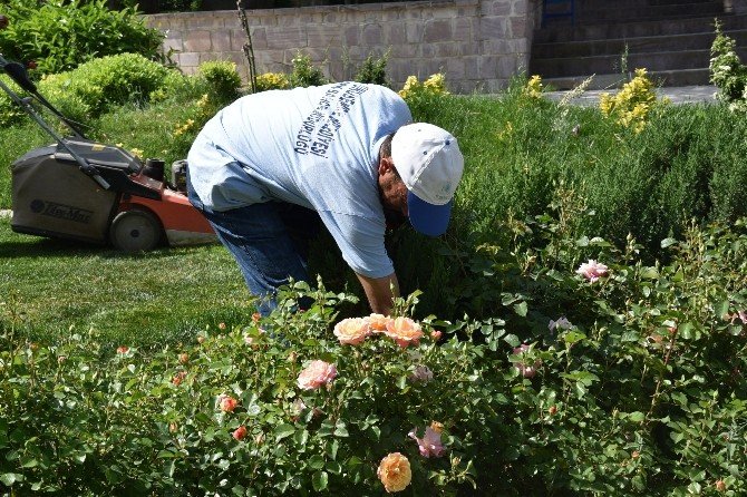 Başkan Çerçi Park Bahçe Çalışmalarını Yerinde İnceledi