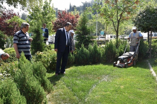 Başkan Çerçi Park Bahçe Çalışmalarını Yerinde İnceledi