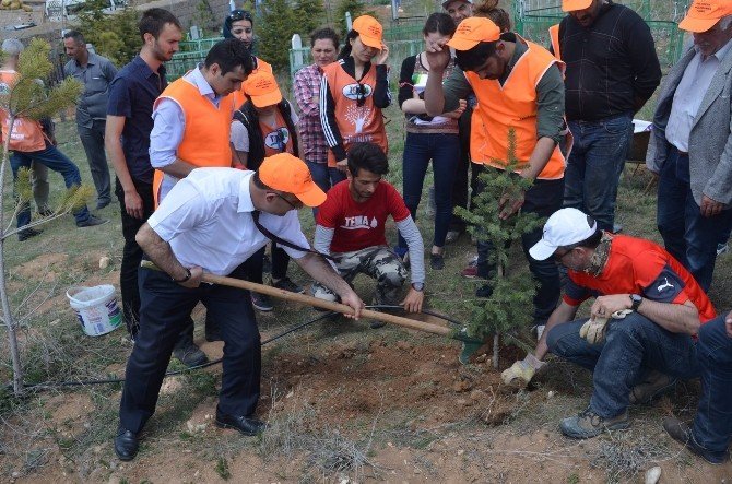 Başkan Gülcüoğlu TEMA Vakfı Ağaç Dikimine Katıldı