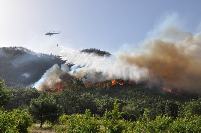 Orman Ve Su İşleri Bakanlığı Yangınlarla Mücadeleye Hazır