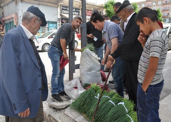 Silopi’de Hayat Normale Döndü