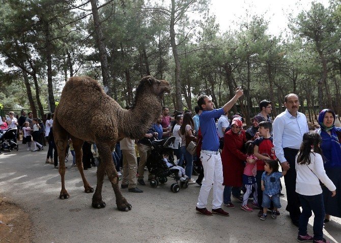 Gaziantep Hayvanat Bahçesi Ziyaretçi Rekoru Kırdı