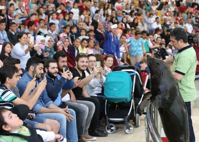 Gaziantep Hayvanat Bahçesi Ziyaretçi Rekoru Kırdı