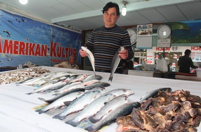 Av Yasakları Balık Fiyatlarına Olumsuz Yansıdı