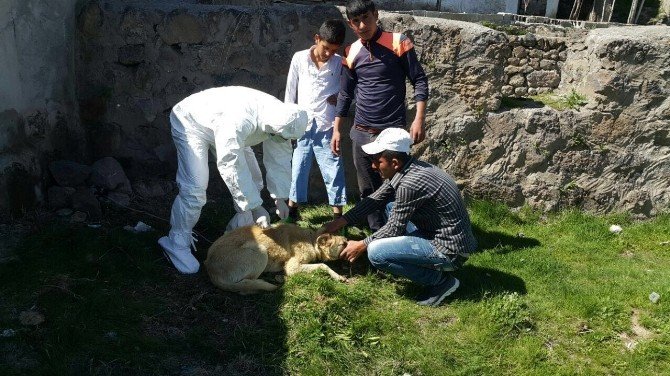 Patnos’ta Kuduz Vakaları İçin Önlemler Artırıldı