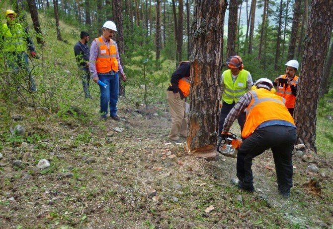 Akdağmadeni Orman İşletme Müdürlüğü’nde Standardizasyon Eğitimi