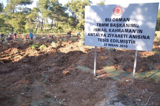Antalya’da Cumhurbaşkanı Ve Başbakan Adına Hatıra Ormanları Kuruldu