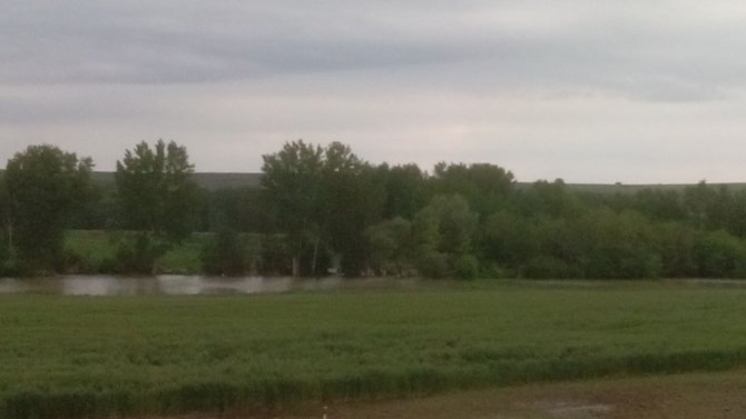 Yağış sonrası Ogulpaşa deresi taştı 20 bin dönüm tarım arazisi su altında kaldı