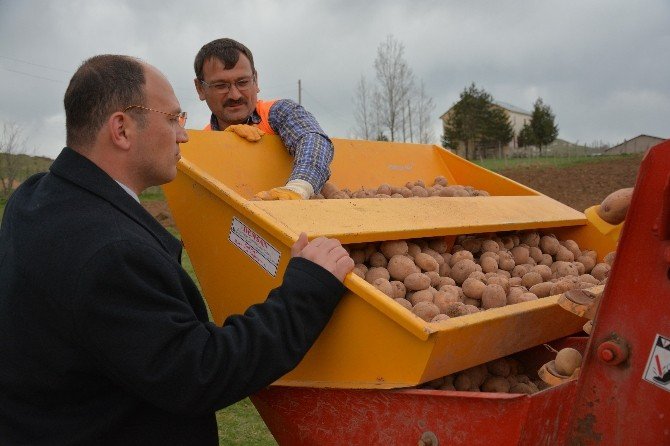 Patates Üretimini Artırmak İçin Belediye Tarla Kurdu