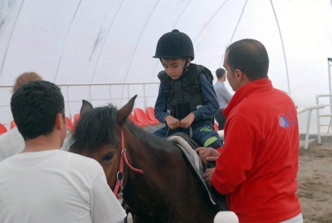 Atlar, Engelli Çocukların Umudu Oldu