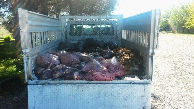 Diyarbakır’da 1 Ton Hayvansal Ürün Ele Geçirildi