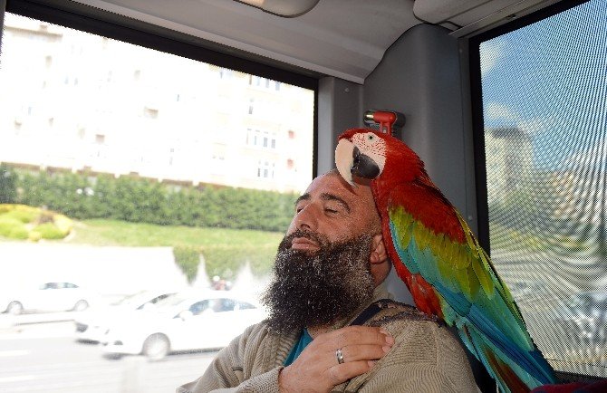 "Allah" Diyen Papağan Metrobüs Yolcularını Hayrete Düşürdü