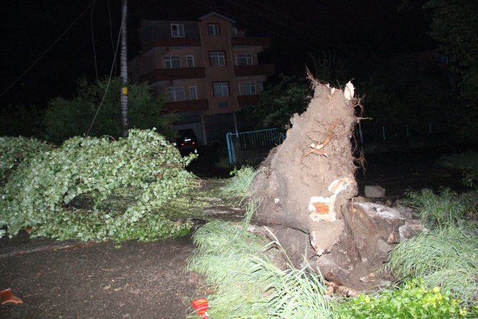 Ereğli'de fırtına çatıları uçurdu, ağaçları yıktı