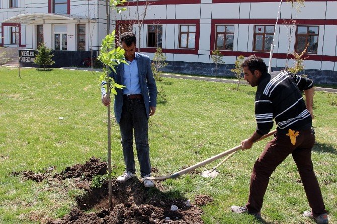 Ağrı İbrahim Çeçen Üniversitesi’nde 15 Bin Ağaç Toprakla Buluştu