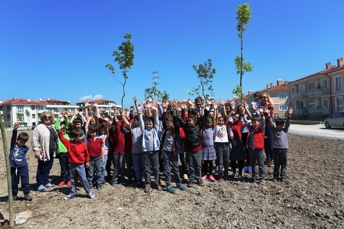 Başkan Alemdar Proje Kapsamında ‘Bir Ağaç Dik, Bir Nesli Kurtar’ Sloganıyla Fidan Dikti