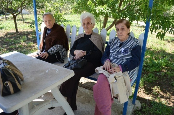 Burhaniye’de Yaşlılar Piknikde Moral Buldu