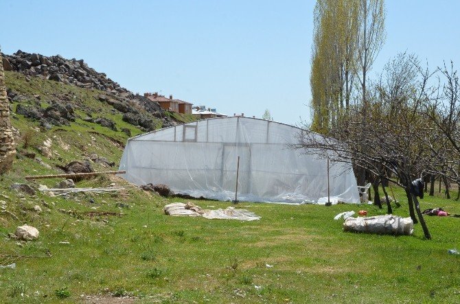 Erciş Belediyesi Sera Kuruyor