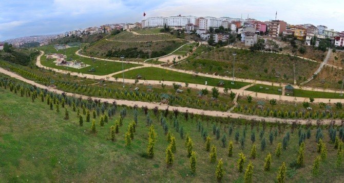 Büyükşehir Yeni Hafriyat Sahaları Açıyor