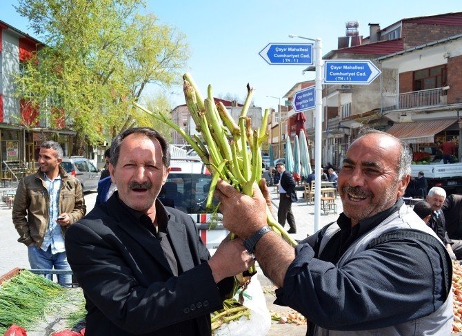 Peynire Katılan Heliz Otu Ve Sirmo Piyasaya Çıktı