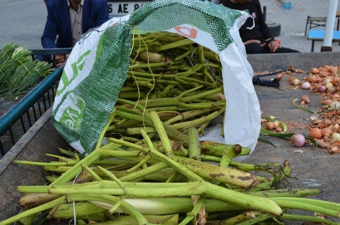 Peynire Katılan Heliz Otu Ve Sirmo Piyasaya Çıktı