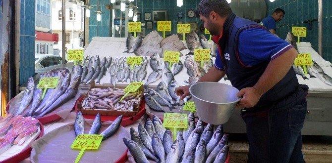 Sezon Kapandı, Balık Fiyatları Tavan Yaptı