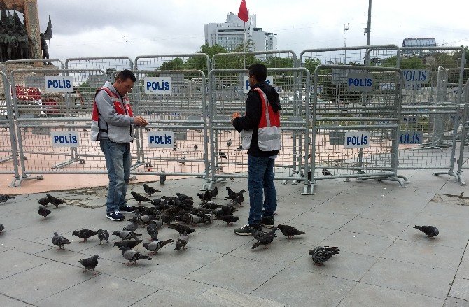 Taksim Meydanı Güvercinlere Kaldı