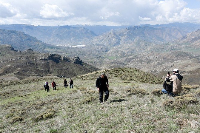 Gümüşhaneli Dağcılar Aynı Günde 5 Ayrı Zirveyi Aştılar