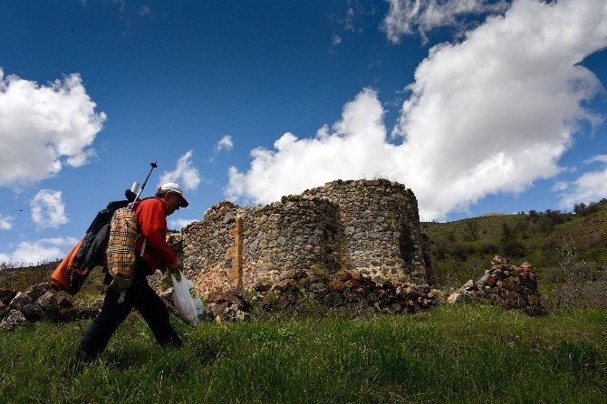 Gümüşhaneli Dağcılar Aynı Günde 5 Ayrı Zirveyi Aştılar