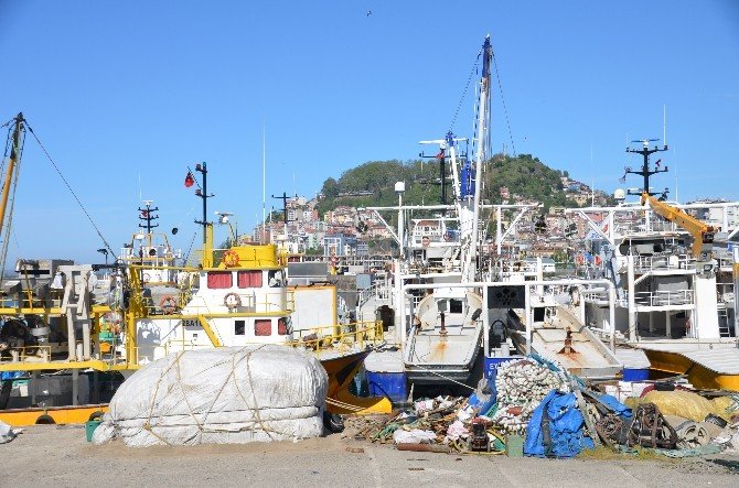 Karadenizli Balıkçılar Yasaklardan Şikayetçi