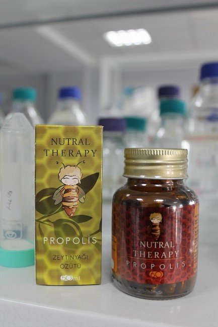 ERÜ’lü bilim insanının ürettiği ’propolis’ kemoterapinin yan etkilerini engelleyebilecek