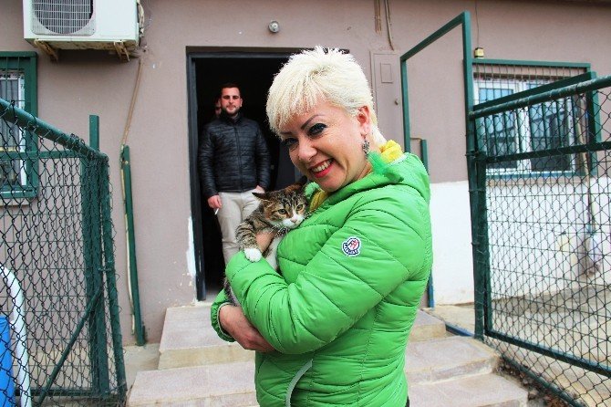 Kediye işkence yapanlar gözaltında