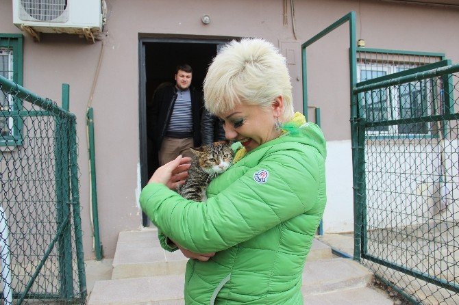 Kediye işkence yapanlar gözaltında