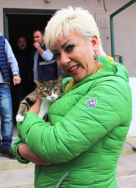 Kediye işkence yapanlar gözaltında