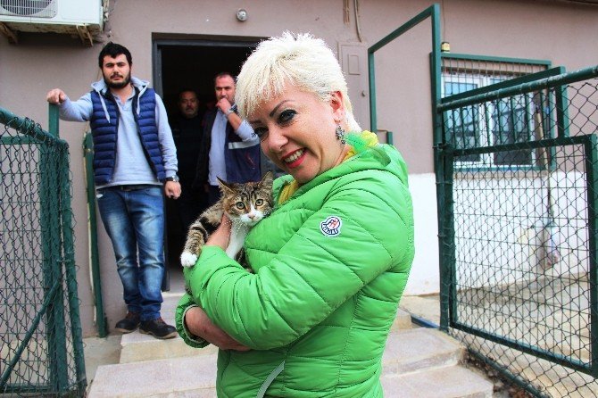 Kediye işkence yapanlar gözaltında